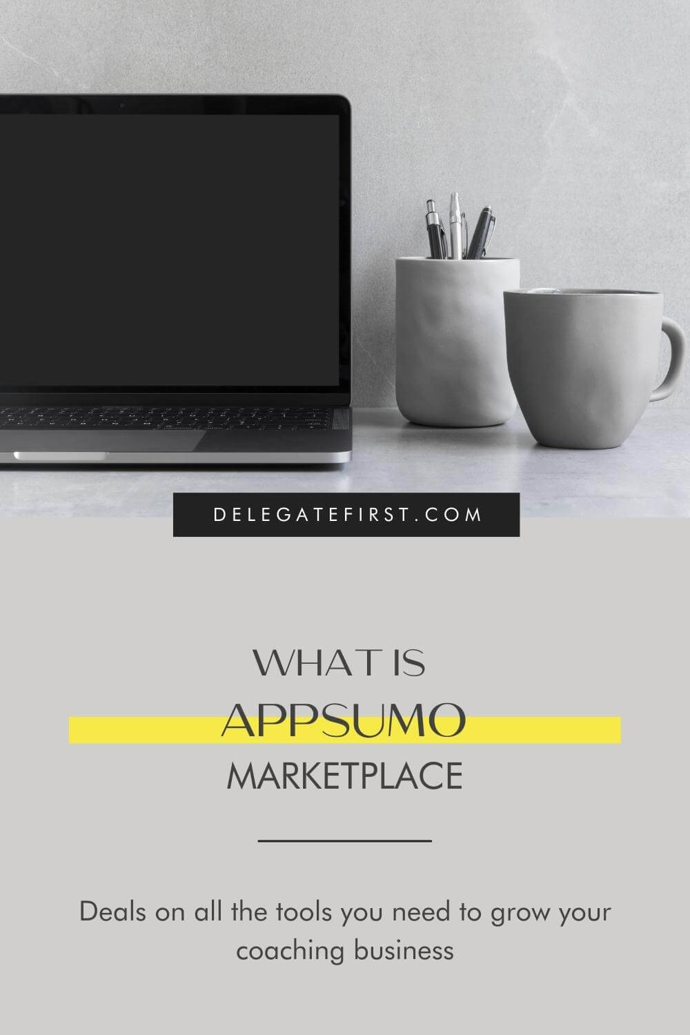 What is AppSumo Marketplace, the best place to buy online tools for your Small Business